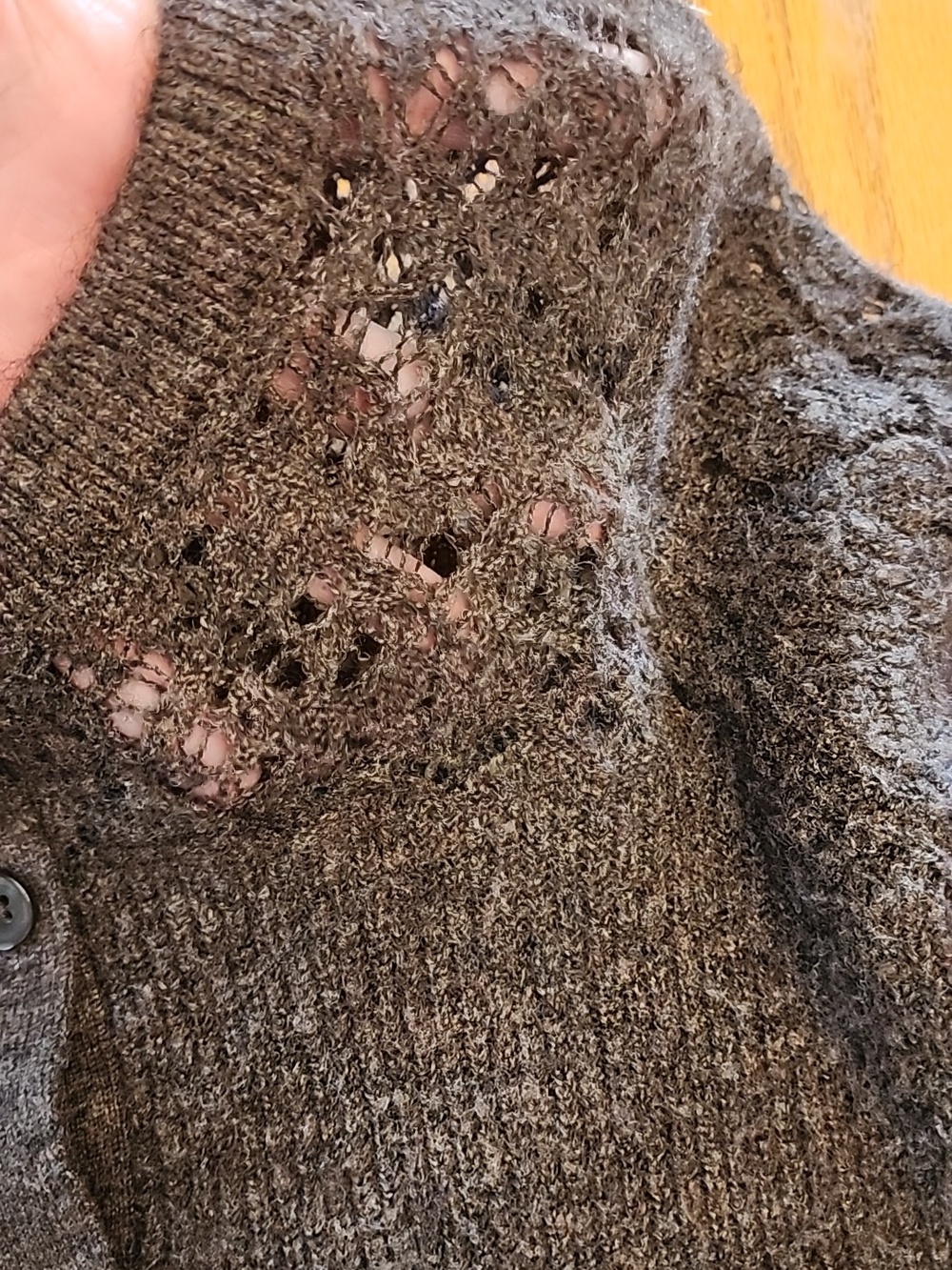 American Eagle Outfitters Brown Lace-Yoke Button-Up Cardigan - Picture 10 of 12